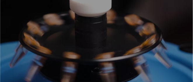 Әдетті үш — төрт ай.