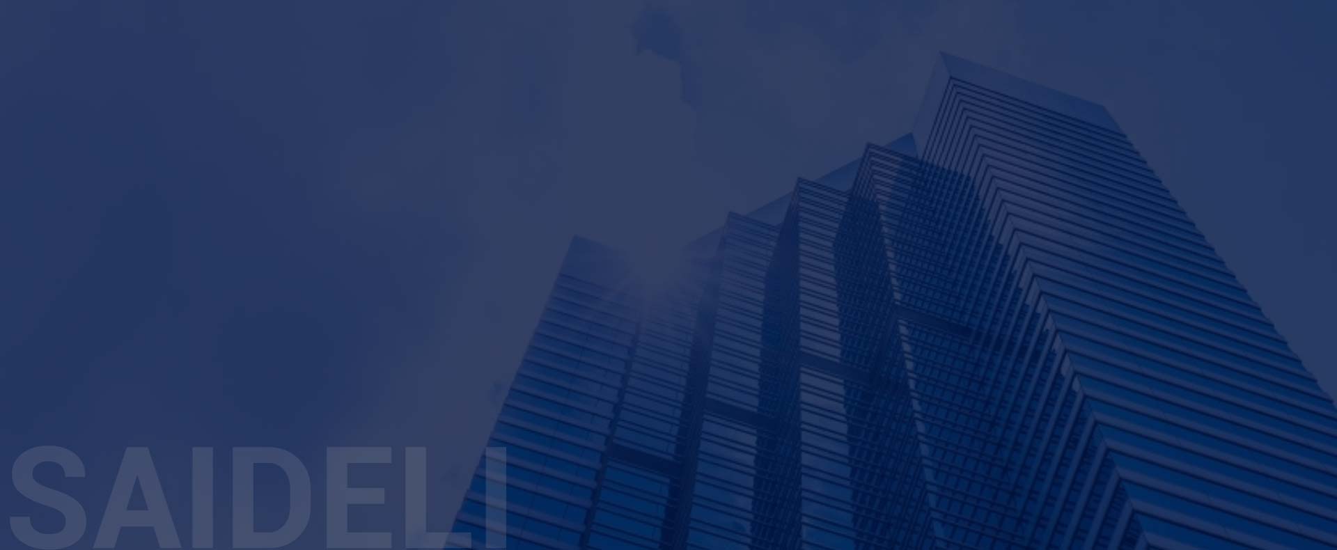 SAIDELI туралы